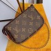 Louis Vuitton Monogram Canvas Mini Pochette Accessoires Bag Print