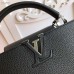 Louis Vuitton Capucines PM Bag M42242 Black/Silver